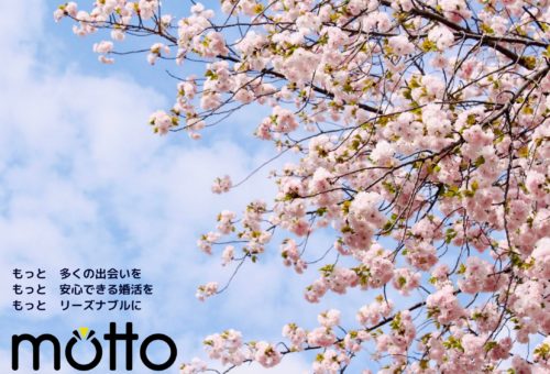 お花見おすすめデートスポット🌸